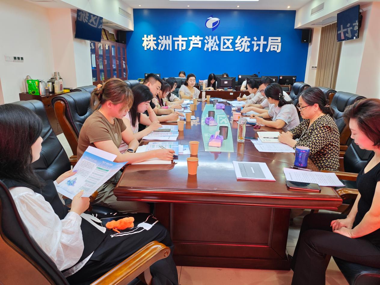 芦淞区统计局举办乡镇街道统计人员培训会