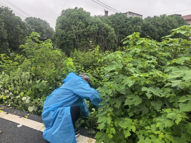 株洲渌口：风雨践初心 清障保安全