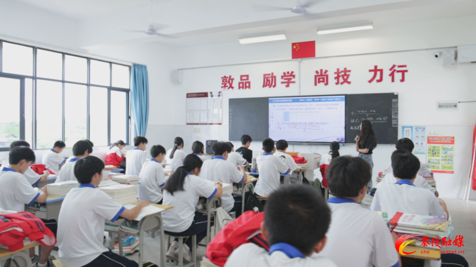 2026年茶陵县中小学暑假时间公布