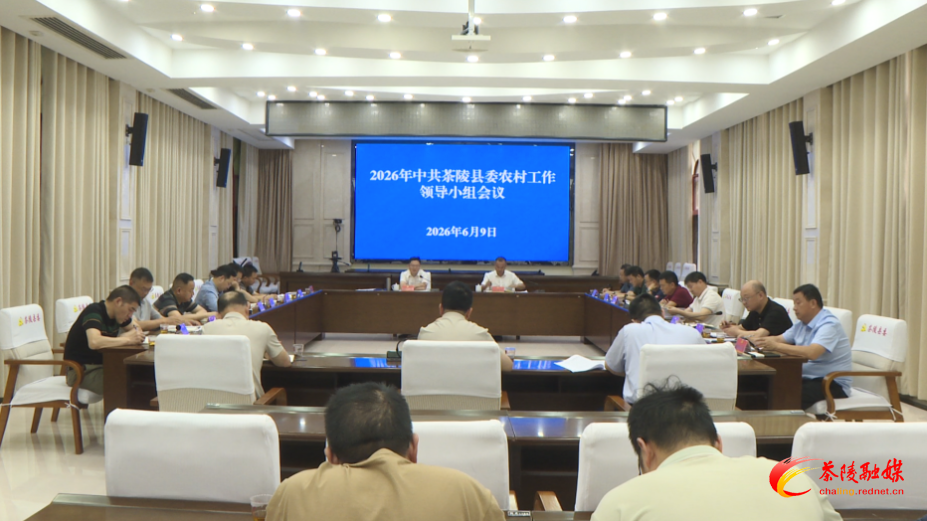 2026年中共茶陵县委农村工作领导小组会议召开