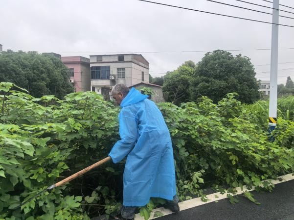 株洲渌口：风雨践初心 清障保安全