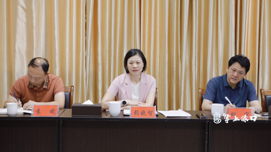 赖晓智走访调研区委常委部门