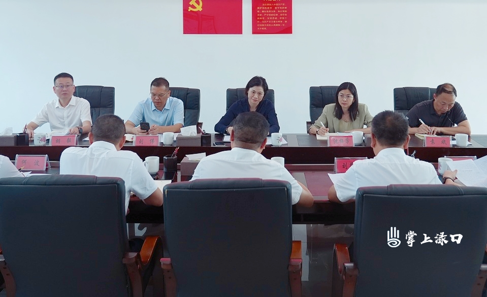 赖晓智到南洲镇调研
