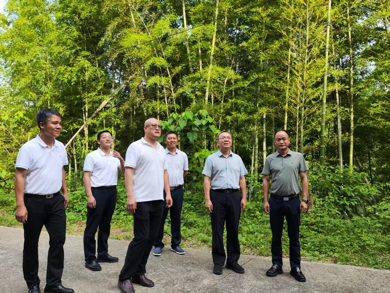 杨胜跃副市长赴江冲村调研督导乡村振兴工作