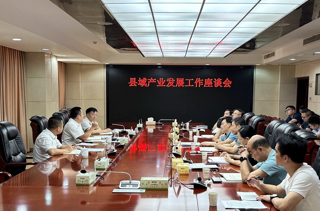攸县召开县域产业发展工作座谈会
