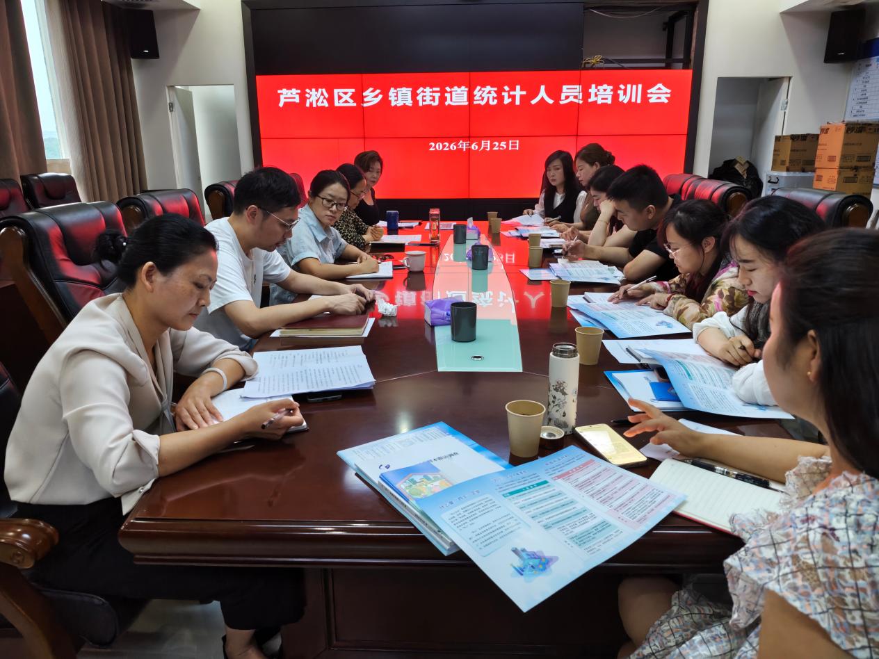 芦淞区统计局举办乡镇街道统计人员培训会