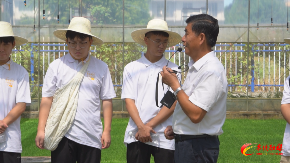 汇聚青春力量 助力家乡发展 茶陵第五届返乡挂职活动启动