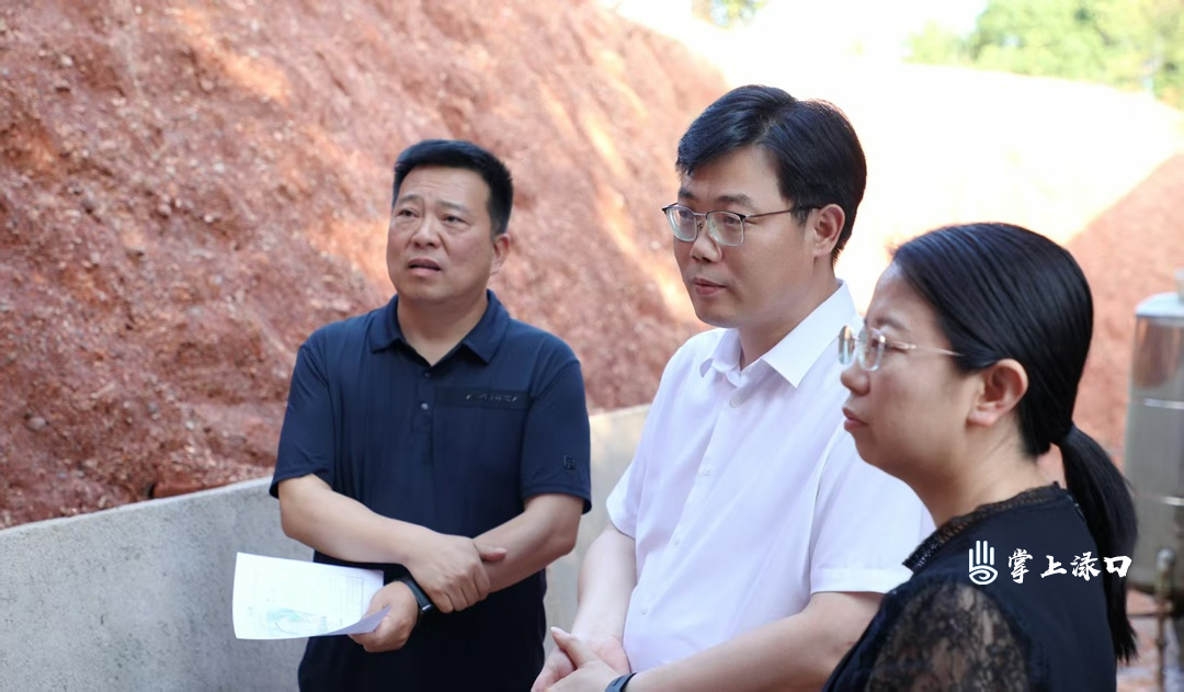 陈交云到古岳峰镇调研近期重点工作