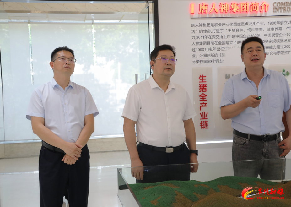 杨红兵走访调研重点企业