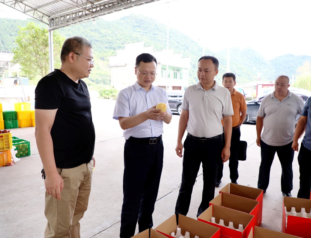 夏胜利到中村瑶族乡调研“驻点连片”帮扶试点工作