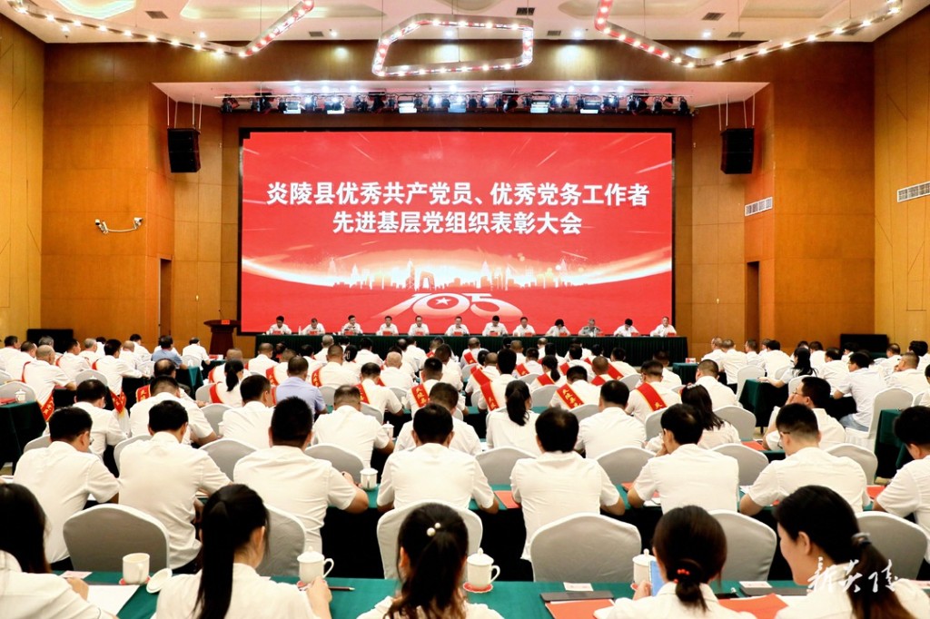 炎陵县举行“两优一先”表彰大会
