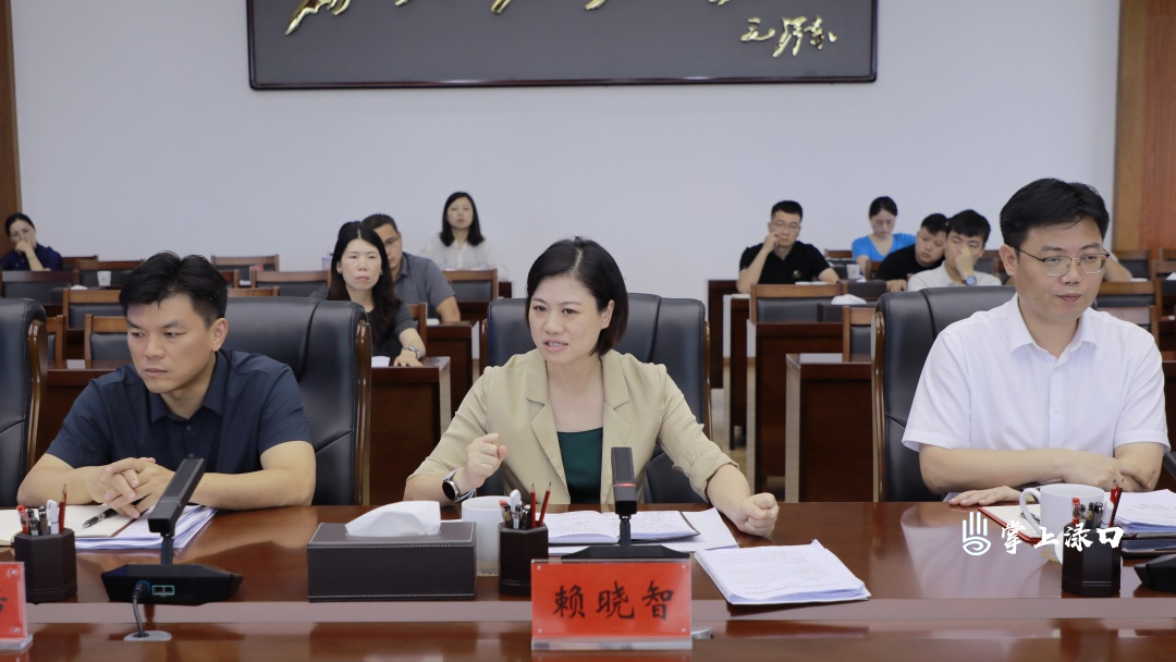 赖晓智主持召开渌口区2026年项目全生命周期管理工作调度会