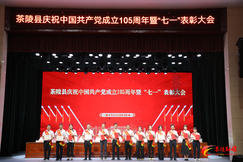 茶陵县庆祝中国共产党成立105周年暨“七一” 表彰大会:基层党员代表共话为民初心