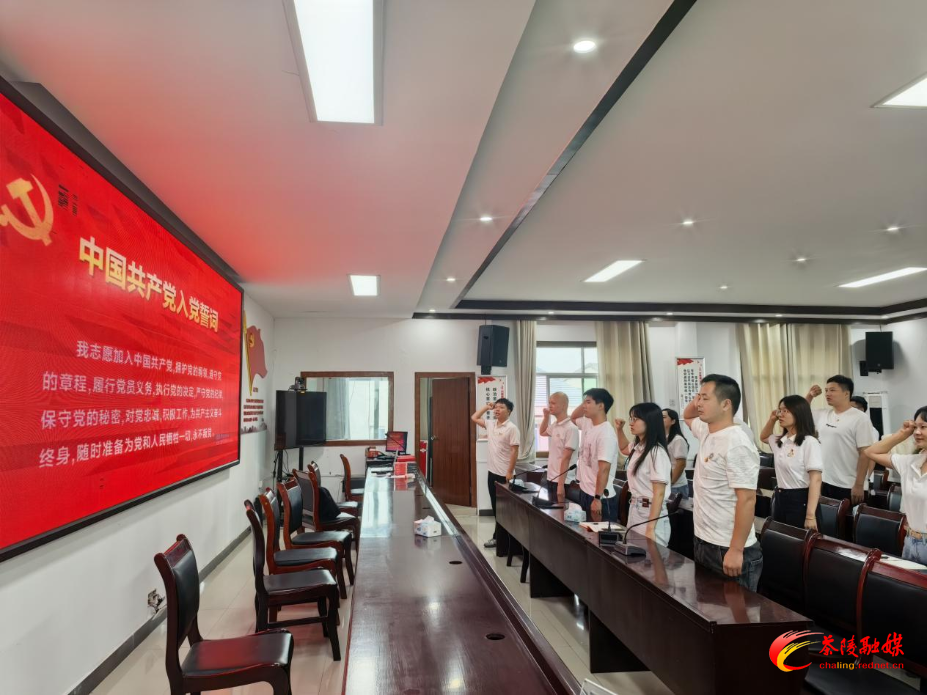 洣江街道开展“青春心向党，奋进新征程”青年干部主题学习活动