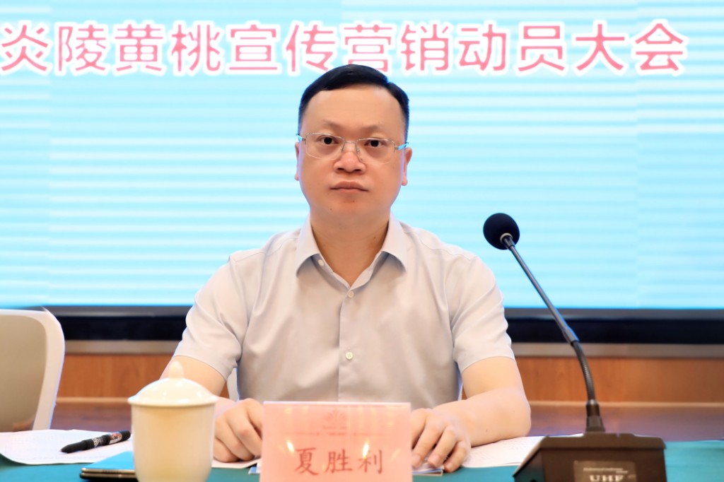 2026年炎陵县常态化帮扶工作推进会暨炎陵黄桃宣传营销动员大会召开