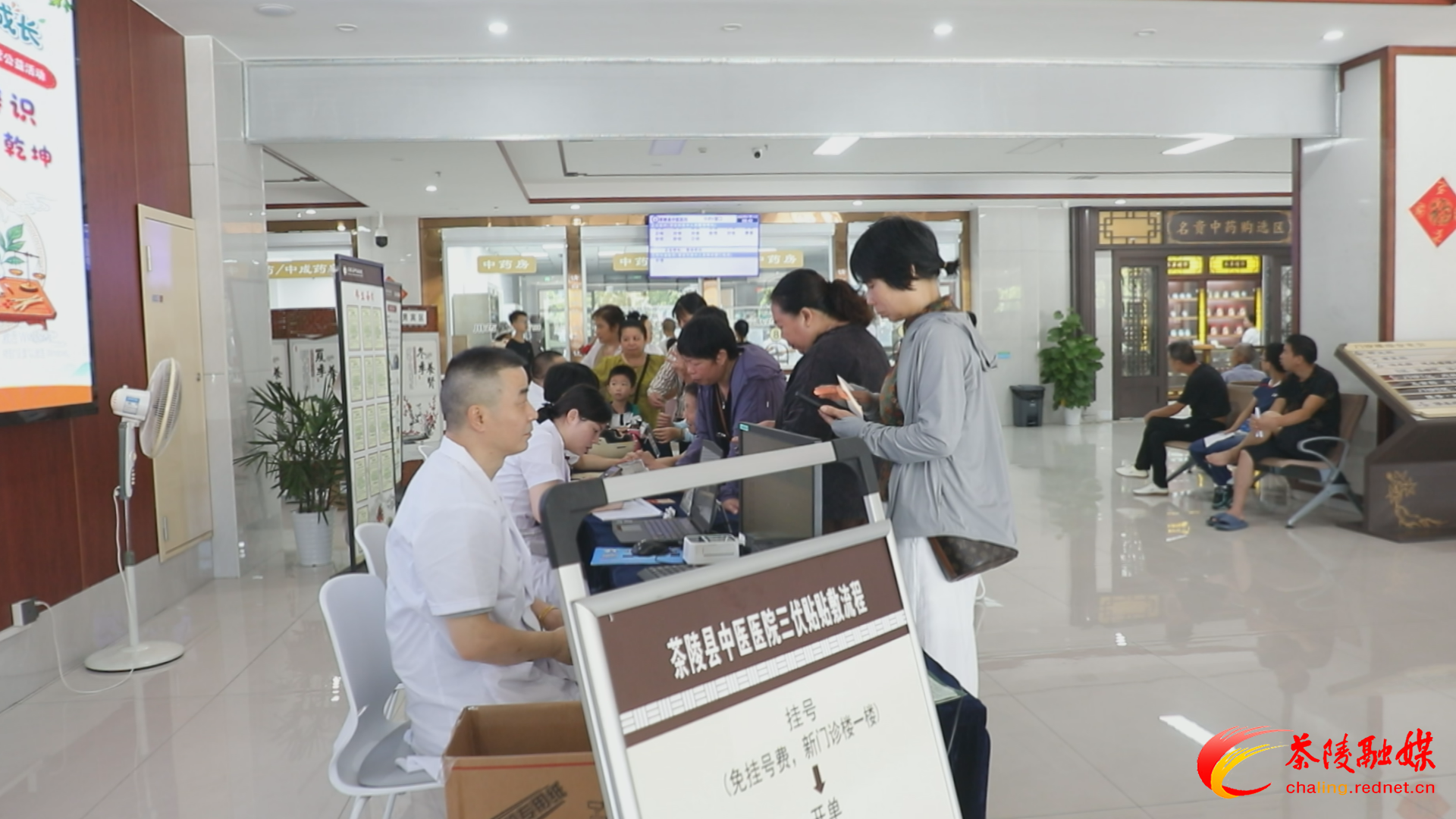 【健康与生活】中医研学趣味多 冬病夏治正当时