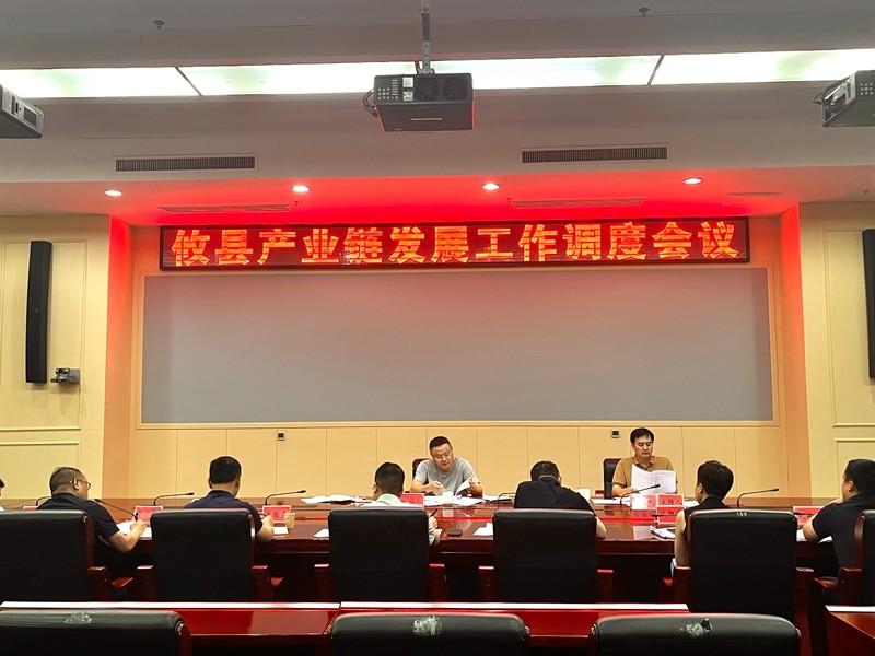 攸县召开产业链发展工作调度会 凝心聚力攻坚产业强县建设