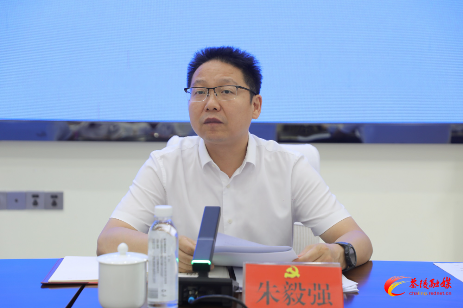 杨红兵：以实干实绩推动茶陵经济高质量发展