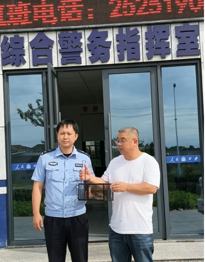 警林联动护生灵！茶陵成功救助国家二级保护动物斑头鸺鹠