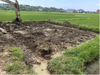 联星街道：快速处置农田违建 严守耕地保护红线