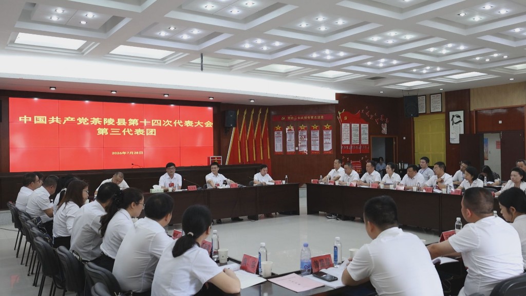 中国共产党茶陵县第十四次代表大会：各代表团继续开展活动