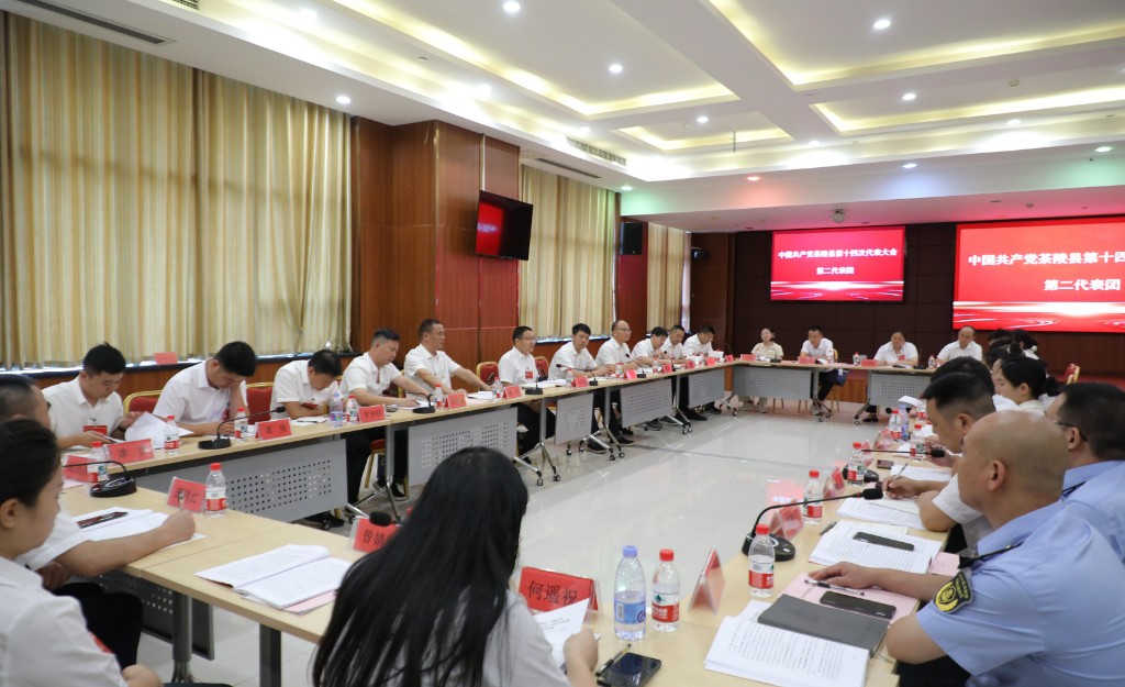 中国共产党茶陵县第十四次代表大会：各代表团继续开展活动