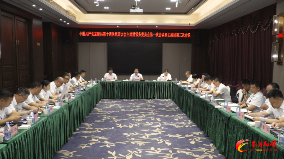 中国共产党茶陵县第十四次代表大会：主席团常务委员会第一次会议和主席团第三次会议召开