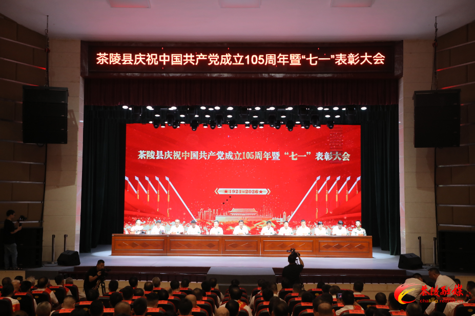 茶陵县庆祝中国共产党成立105周年暨“七一” 表彰大会:基层党员代表共话为民初心
