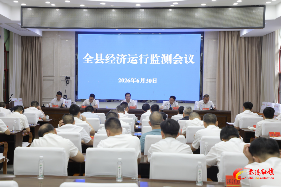 杨红兵：以实干实绩推动茶陵经济高质量发展