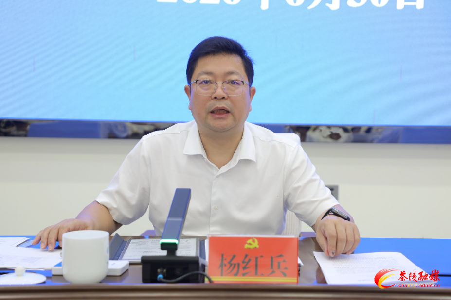 杨红兵：以实干实绩推动茶陵经济高质量发展