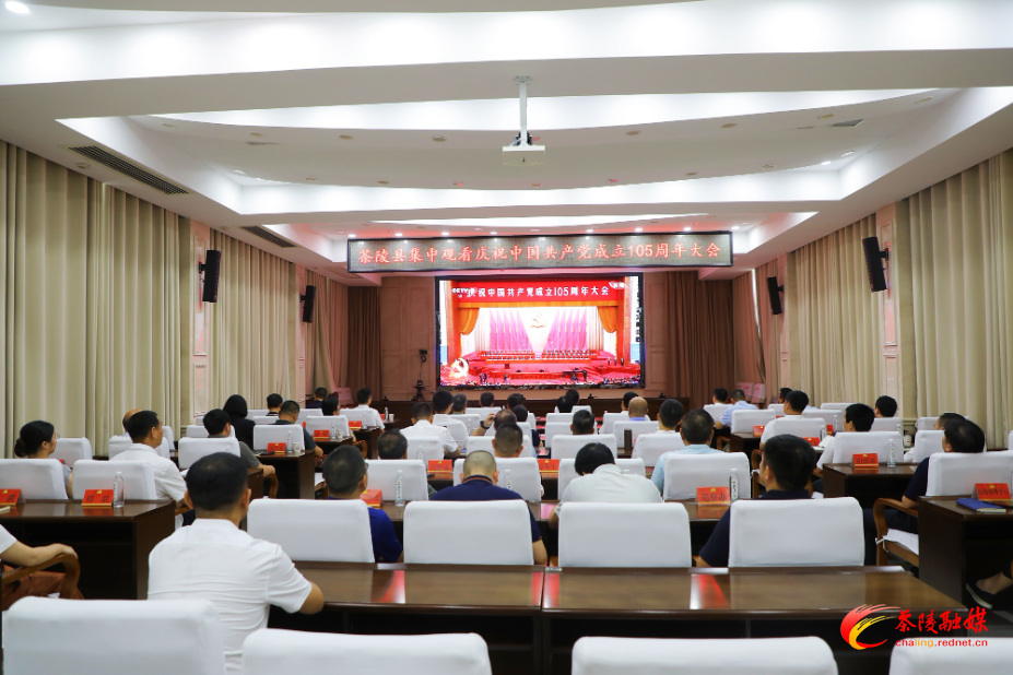 茶陵县集中观看庆祝中国共产党成立105周年大会