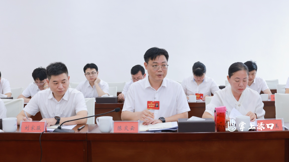 【聚焦党代会】陈交云参加区第三次党代会第二代表团讨论