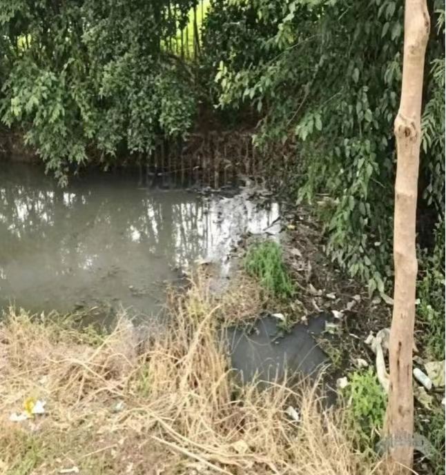 助力守护河湖碧水  提升群众幸福指数——领导干部自然资源资产离任（任中）审计现场纪实