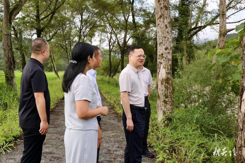 夏胜利在霞阳镇调研督导河、林、田长制工作
