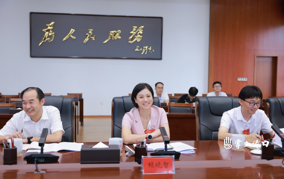 【聚焦党代会】赖晓智参加区第三次党代会第一代表团讨论