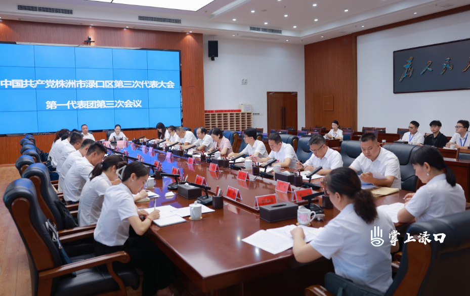 【聚焦党代会】赖晓智参加区第三次党代会第一代表团讨论