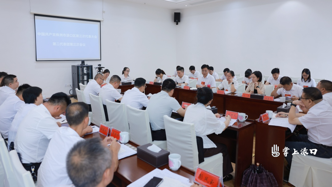 【聚焦党代会】陈交云参加区第三次党代会第二代表团讨论