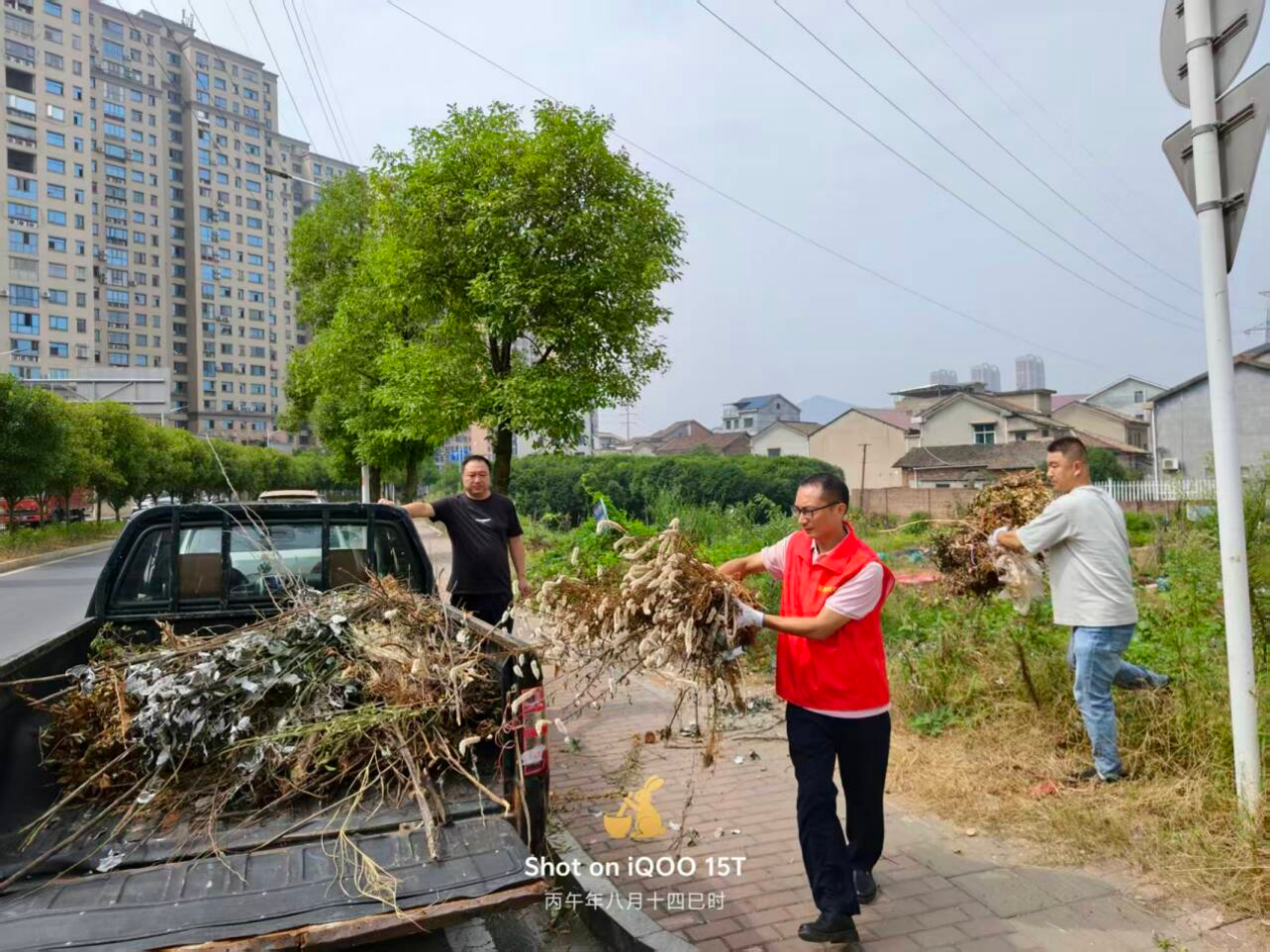 源头治理消隐患——醴陵分局联合来龙门街道五里牌社区开展秸秆杂草清理行动