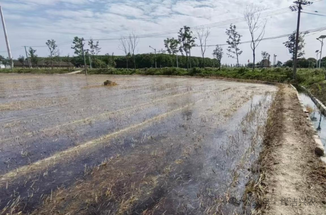 从"一把火"到"一座宝库"：揭秘秸秆的综合利用之路