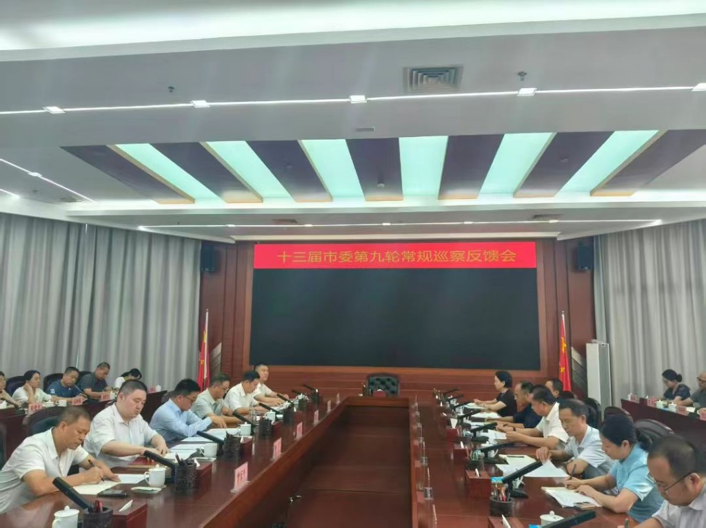 市委第一巡察组向市审计局党组反馈巡察情况