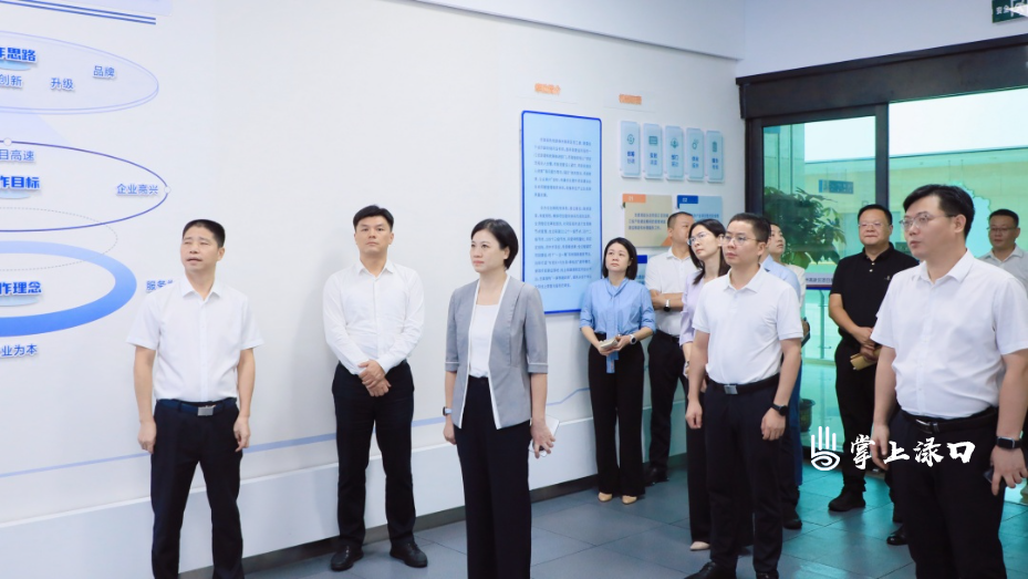 渌口区党政代表团赴株洲高新区对接交流