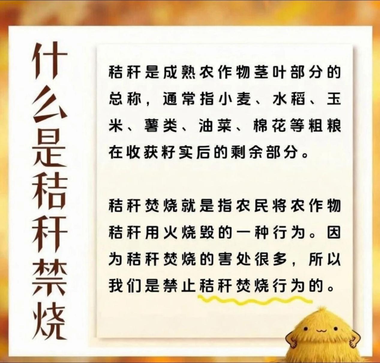 秸秆不仅烧不得，还能这样利用......