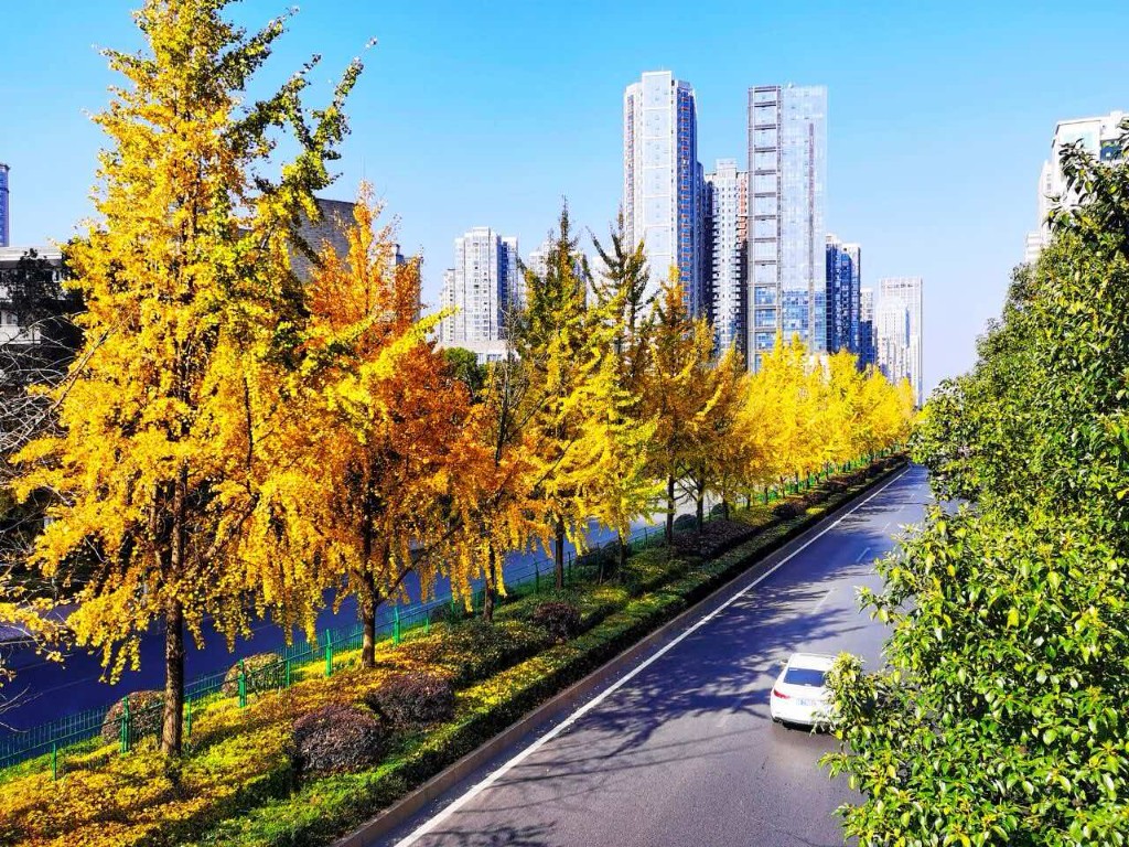 市城管局传达学习株洲市第十四次党代会精神