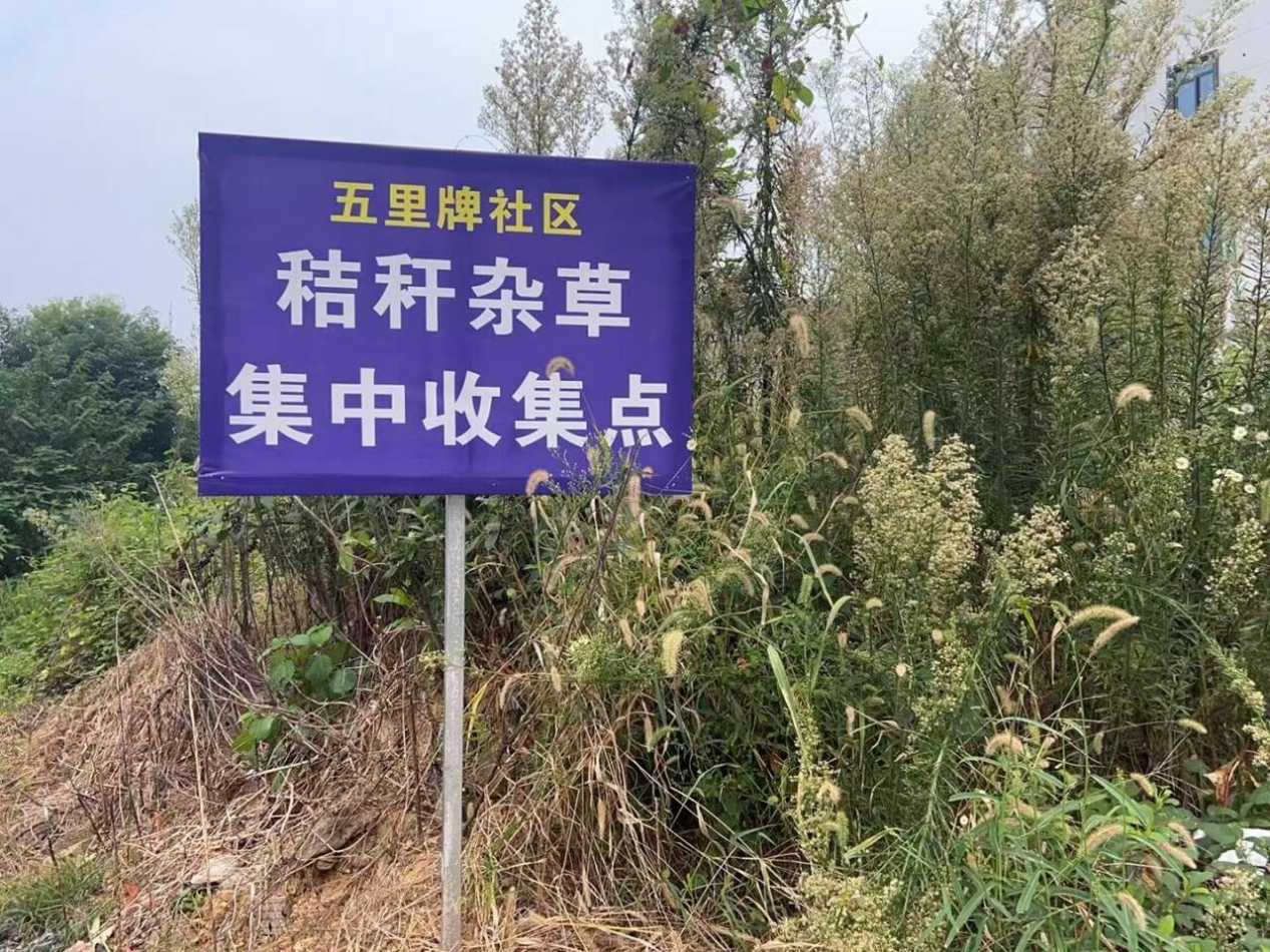 源头治理消隐患——醴陵分局联合来龙门街道五里牌社区开展秸秆杂草清理行动