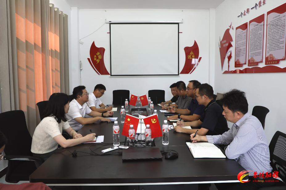 杨红兵带队调研重点企业