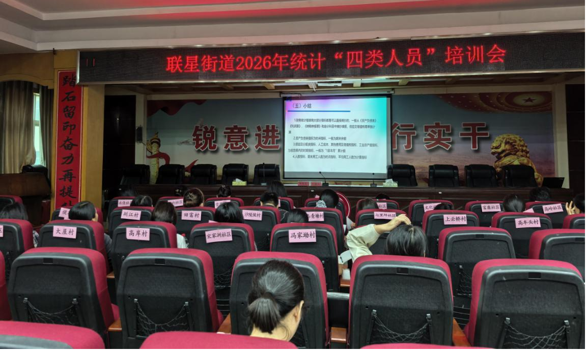 联星街道:筑牢数据质量根基 助推经济高质量发展