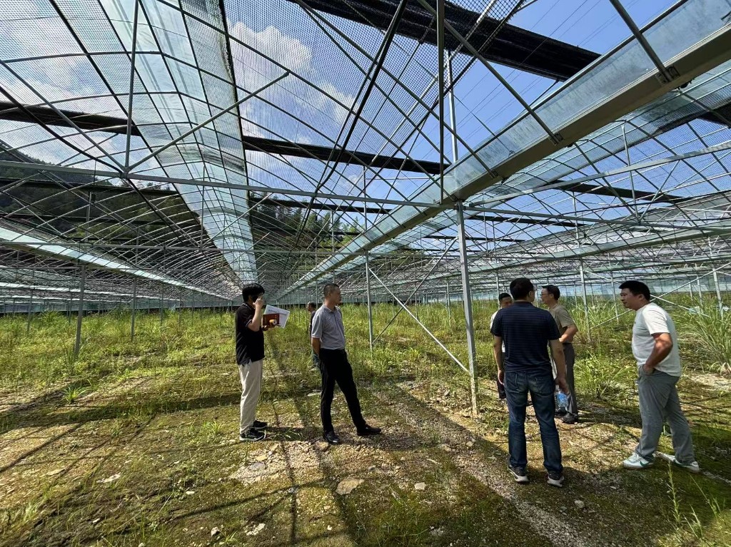 市级工作组赴攸县开展项目核验 现场督导农机报废拆解整改