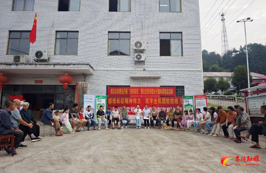 茶陵县桃坑乡“投桃报理”理论宣讲市集热闹开集
