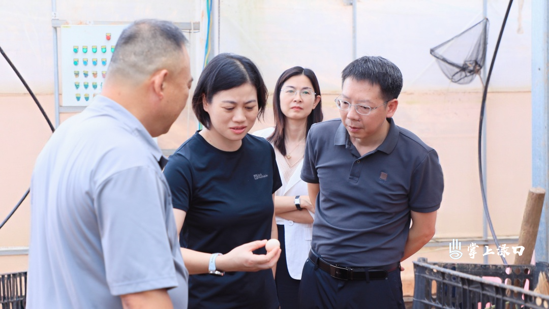 赖晓智赴古岳峰镇、龙船镇调研驻点连片工作