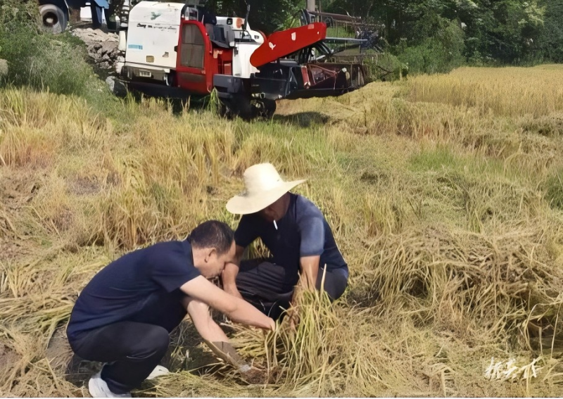各乡镇推进秸秆禁烧与综合利用工作